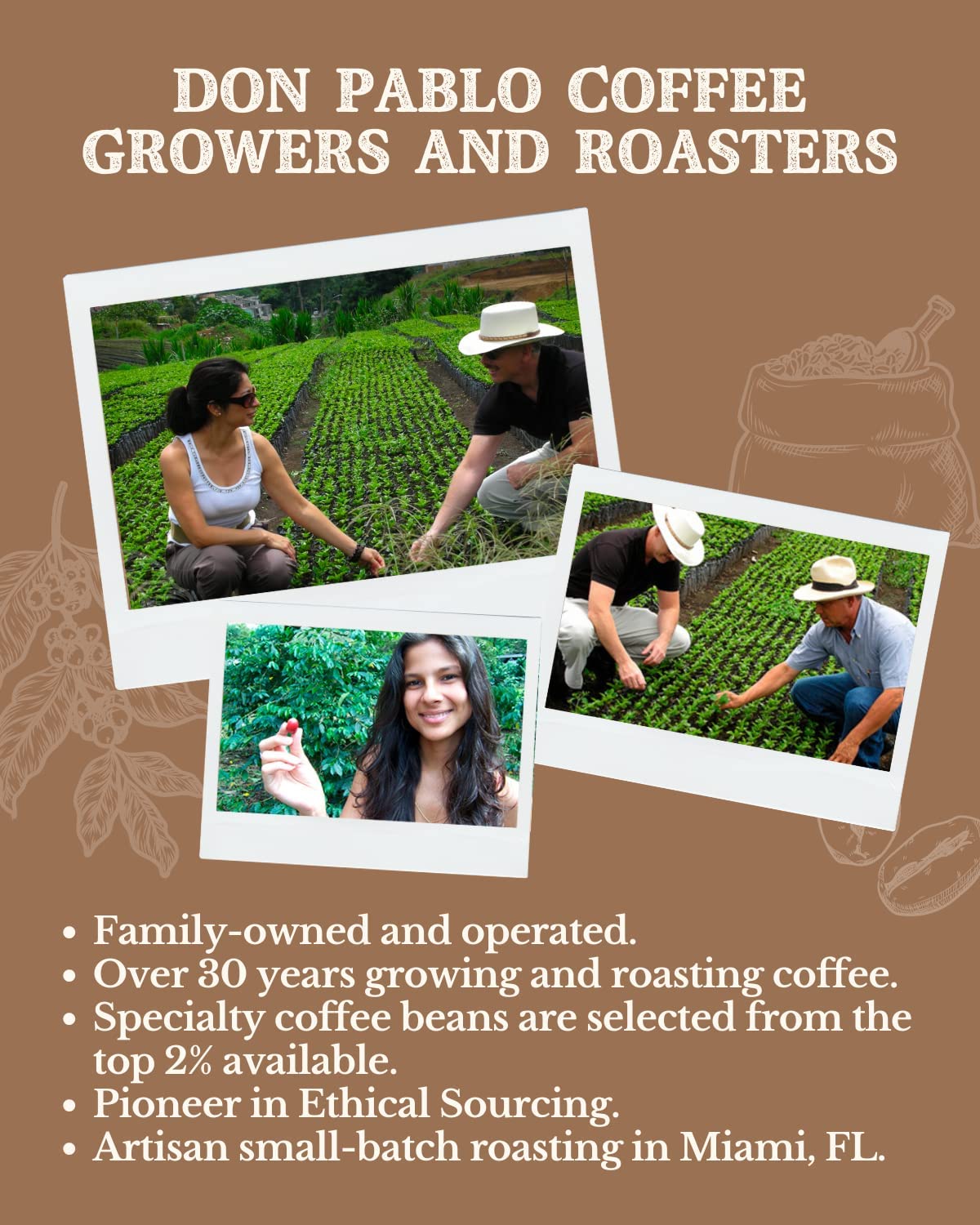 2LB Subtle Earth Organic Coffee - Medium-Dark Roast - Whole Bean Coffee - 100% Arabica Beans - Low Acidity and Non-GMO - 2lb bag - Amazon 786